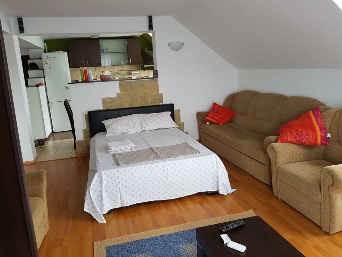 Penthouse Apartament 2 Floors, 2 Bedroom , 2 Bath, 120 Sqm , Inside Yard Parking Cluj-Napoca Extérieur photo
